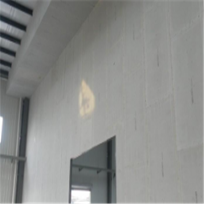 鸡东宁波ALC板|EPS加气板隔墙与混凝土整浇联接的实验研讨